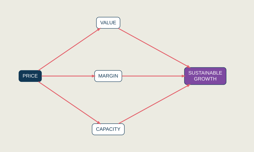Business growth infographic showing pricing connected to value, margin, capacity and sustainable growth.