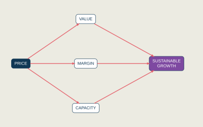 Pricing Decisions: Why It Matters to Profitable Growth
